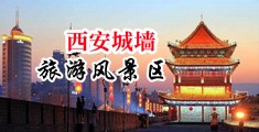 大鸡巴插进去啊啊啊视频中国陕西-西安城墙旅游风景区
